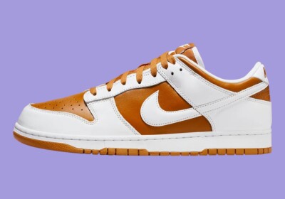 Nike Dunk Low QS CO.JP Reverse Curry FQ6965-700 Mens sizes 6-14 | eBay