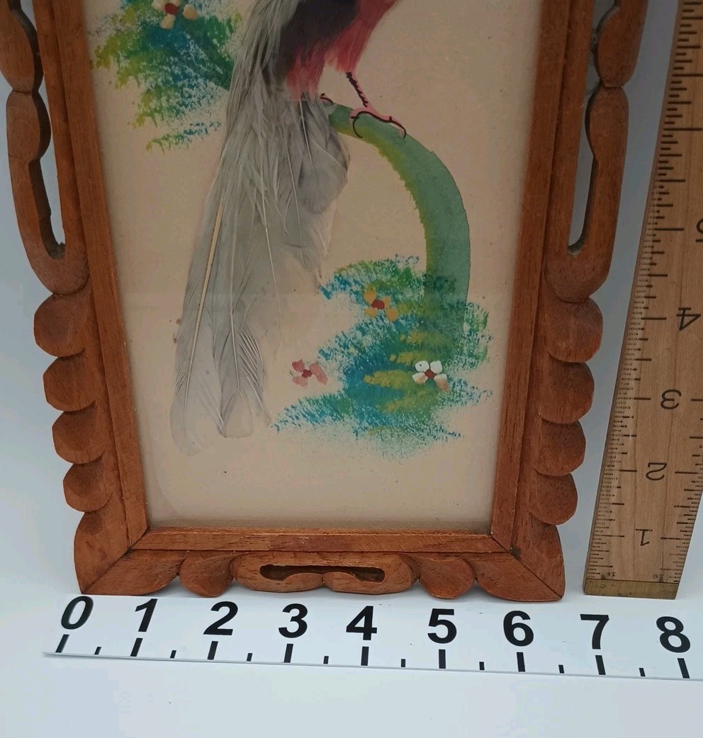 Picture 6 of 11