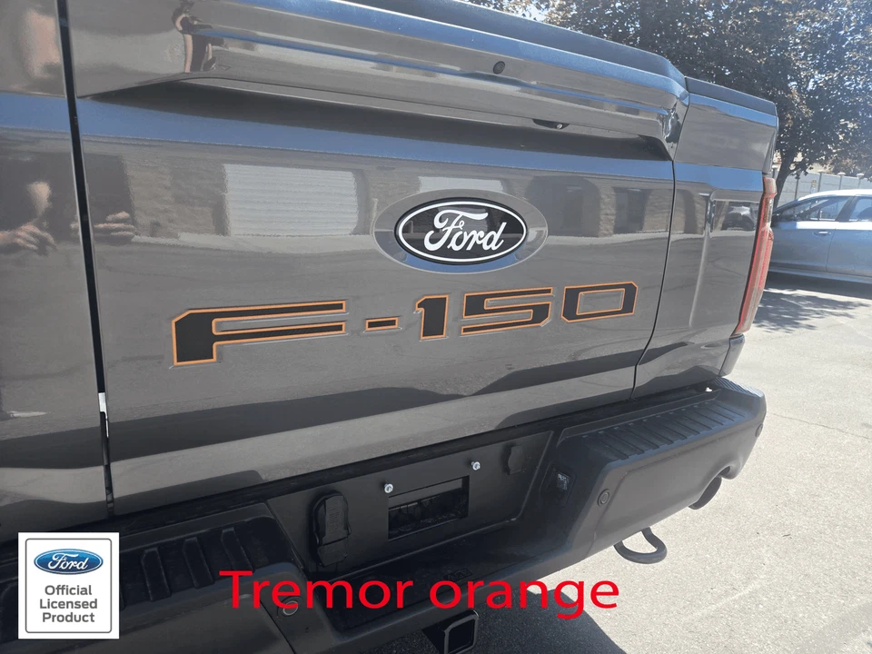 Se adapta a Ford F150 Pro Access 2024 portón trasero F-150 letra con contornos calcomanía adhesiva Foto 3 de 4