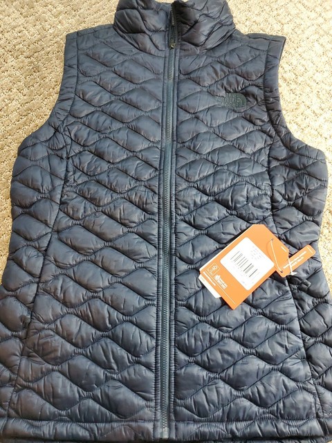 ebay north face vest