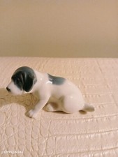 Cane In Porcellana Pointer Cucciolo Danimarca