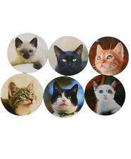 CATS Kittens Mouse Pad For Computer Round 7.5" Choose Your Favorite New