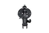 Kavo Parts StoßDäMpfer SSA-9037 FüR Toyota