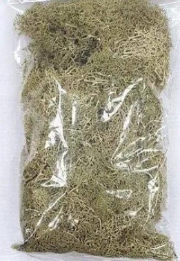 Bolsa IHC 87100 HO Liquen verde oscuro 2 1/2 OZ | Zustand: New