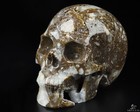 4.1" Tree Leaves Agate Hand Carved Crystal Skull, Realistic, Crystal Healing