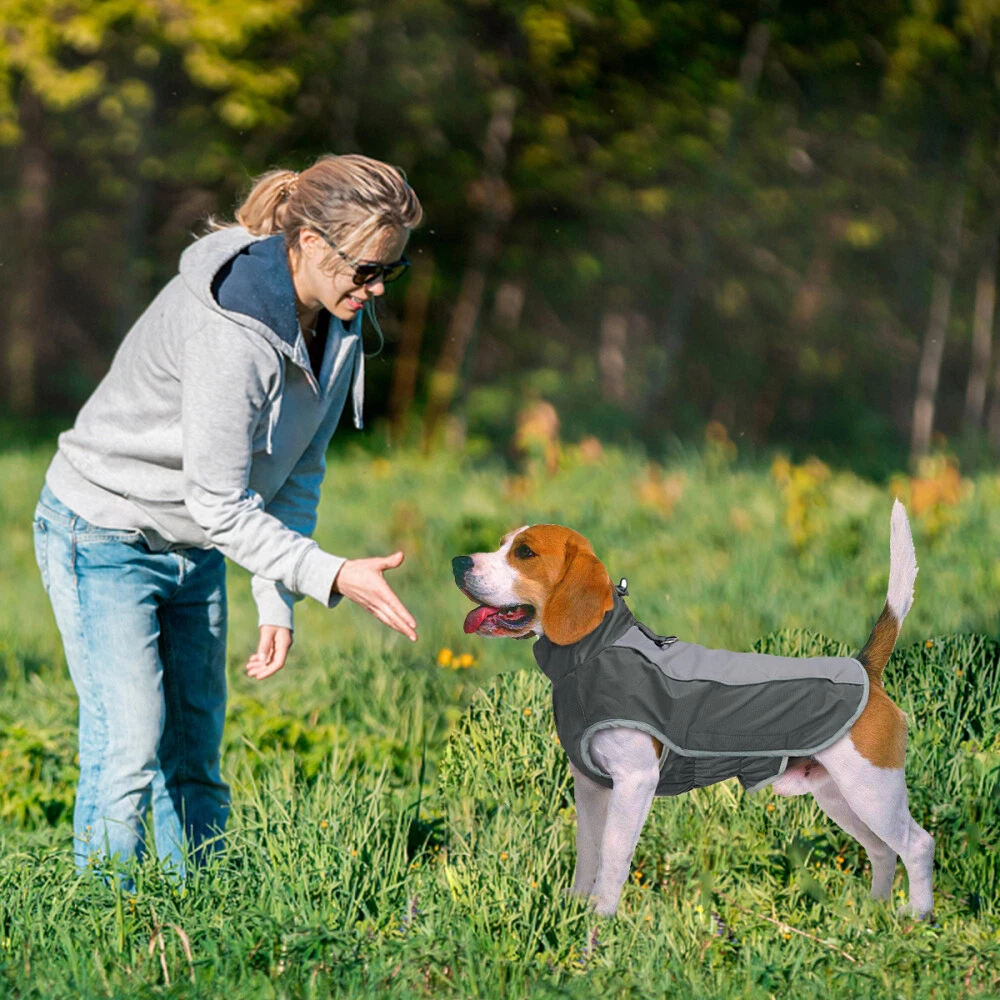 VETEMENTS Set di 3 Felpe con Cappuccio per Cani Abbigliamento per Cani per Servizi Fotografici