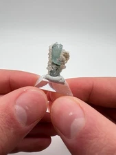 Gem Phenakite Crystals on Etched Aquamarine, Mineral Specimen from Mount Antero