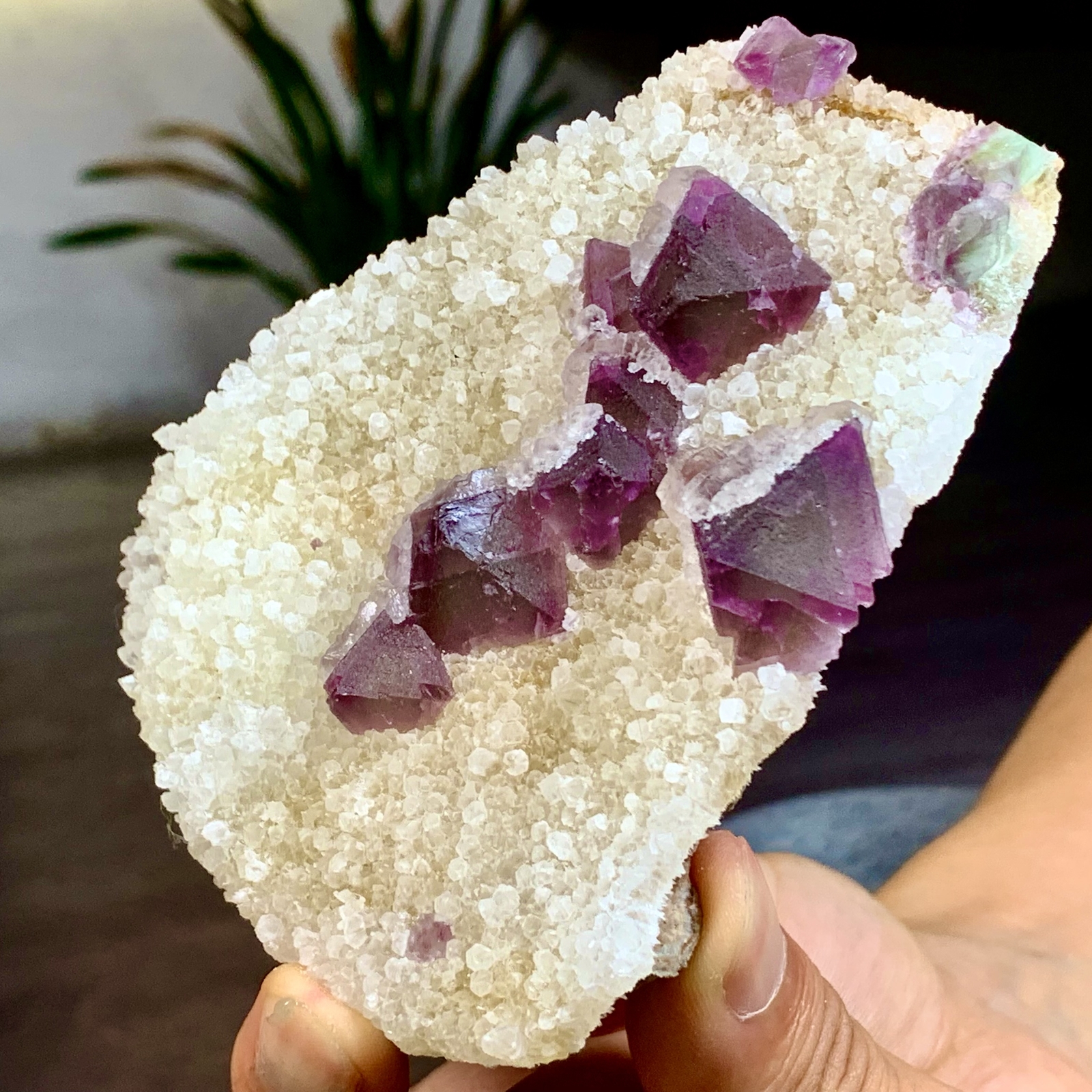253G rare transparent purple cubic fluorite crystal specimen from China