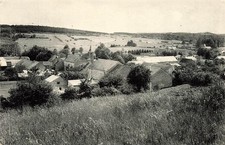 BELGIQUE - Ave - Panorama - église - Toit - Forêt - village - Nels - Thill - Edi