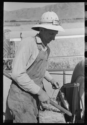 FSA Cooperative,Farm Security Administration,Box Elder County,Utah,UT,4