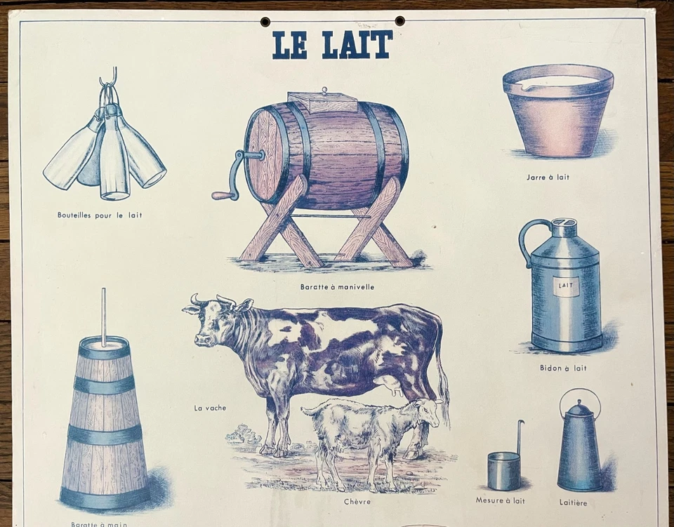 🐄 Ancienne affiche scolaire Deyrolle originale, 1950 - Le lait, fromages - Photo 2/4