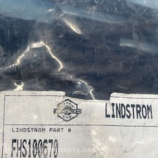 Lindstrom FHS100670 Bag of 100 Steel Flat Head Machine Screws FNFP