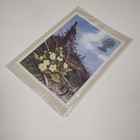 Foto 15 di 15