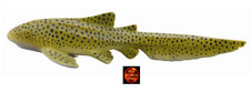 Zebra Shark Sealife Toy Model Figure by CollectA 88614 Brand New