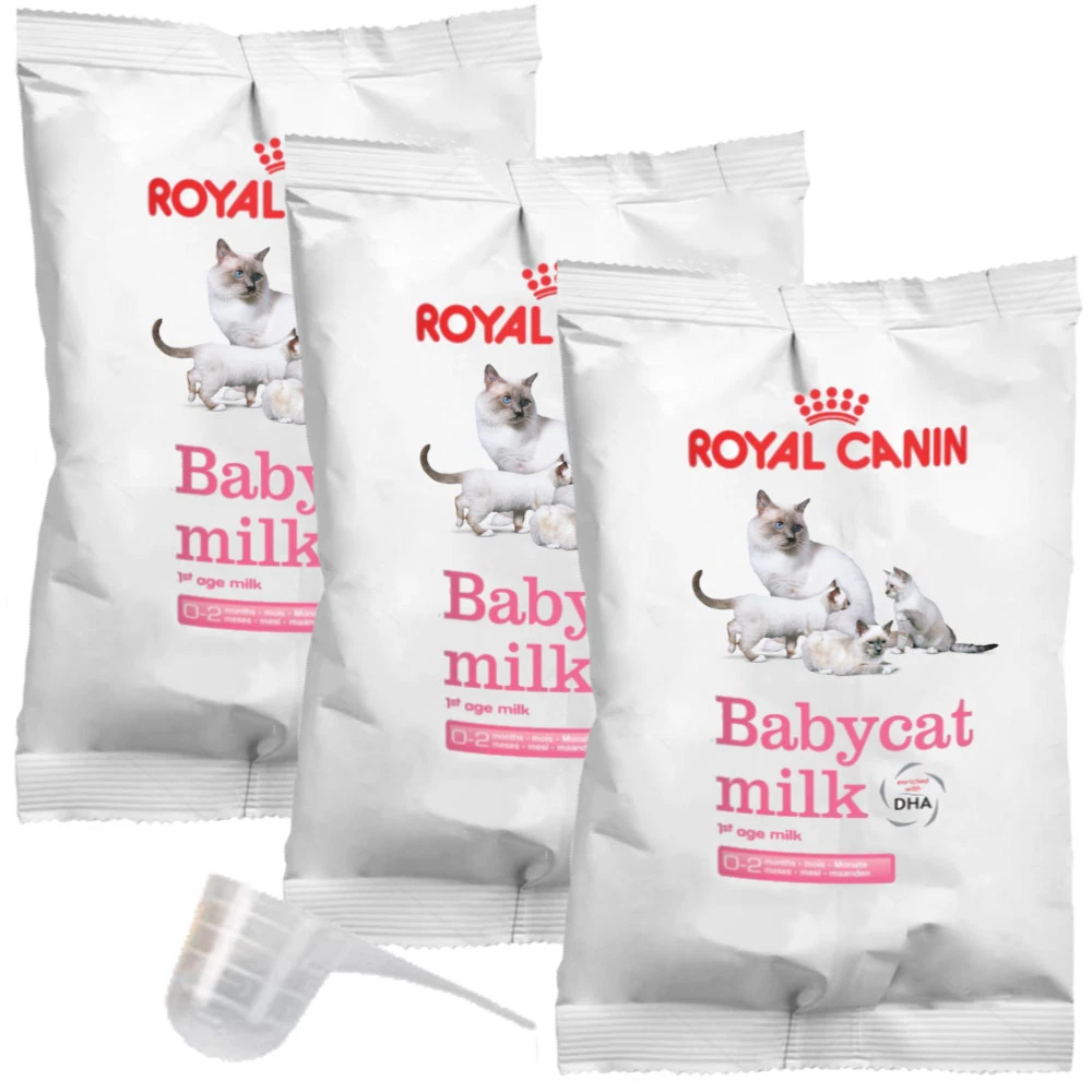 Royal canin hotsell weaning kitten
