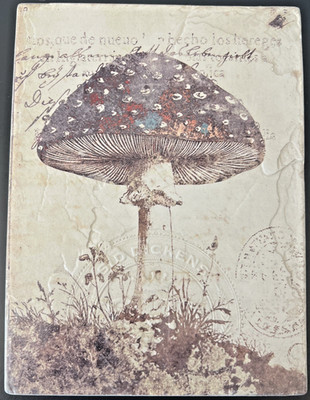 Sid Dickens Gallery Collection Memory Block SDG26-WM042 ''Forest Memory'' Mushroom