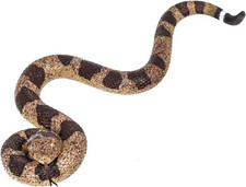 Realistic Fake Snakes Toy Lifelike Rubber Rattlesnake Snake Scare Birds and Squi