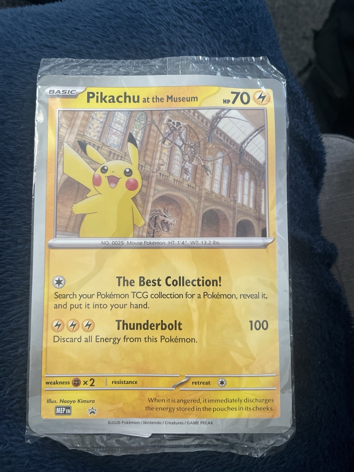 Pikachu At The Museum Jumbo Pokemon Card Natural History Museum, New & Sealed