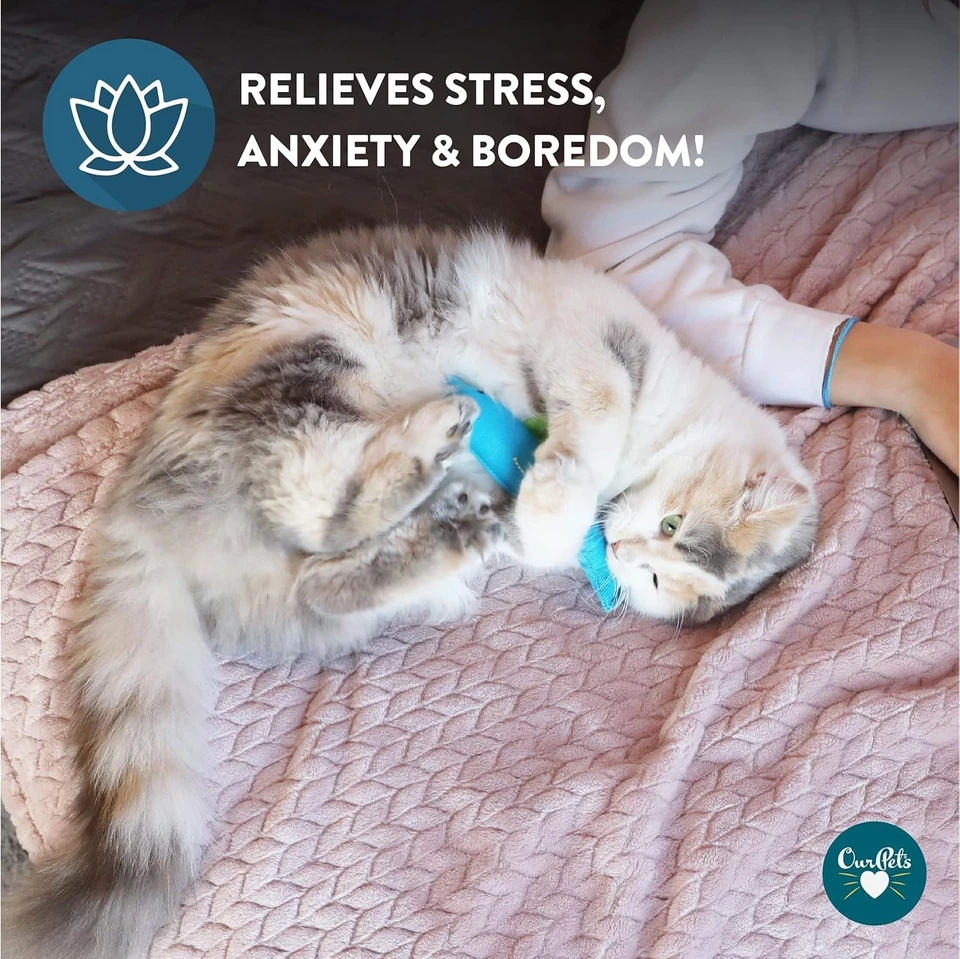 OurPets Cosmic Catnip Fish Cat Toy Interactive Outdoor Indoor Play - Image 4 of 4