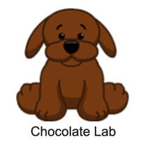 Webkinz Classic Original Chocolate Lab Code Only - Virtual Pet Kinz Puppy Dog