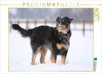Calvendo Puzzle Hovawart - Fun In The Snow | 1000 Pieces, Finished Size 25.2 × 1