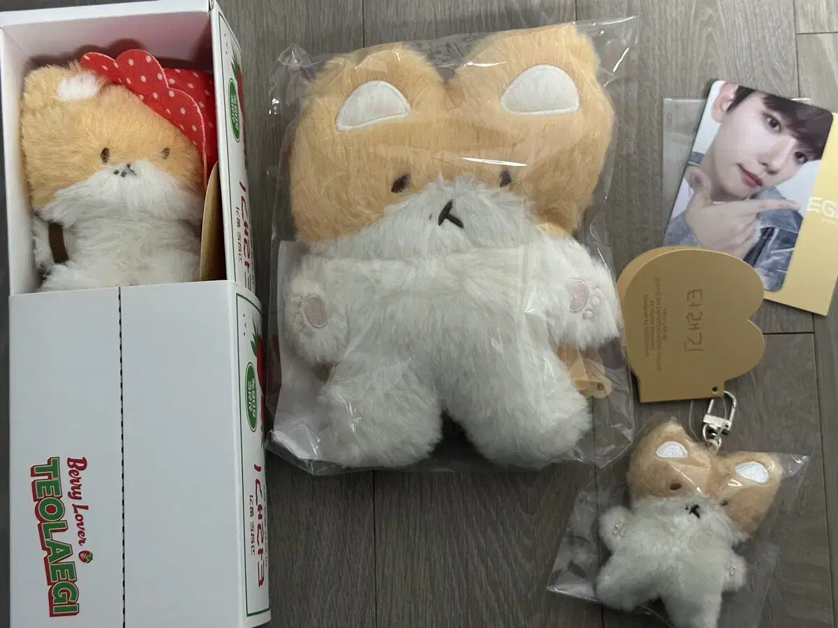 EXO Baekhyun teolaegi Strawberry | eBay