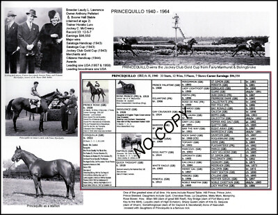 PRINCEQUILLO damsire of Secretariat  picture pedigree Boone Hall Farm S Carolina