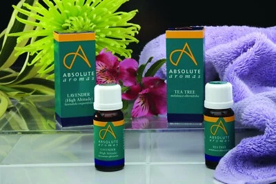 Absolute Aromas Essential Oils 10/30/100mls - Aromatherapy & Diffusers
