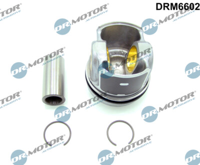 DRM6602 Dr.Motor Automotive Teilmotor für FORD