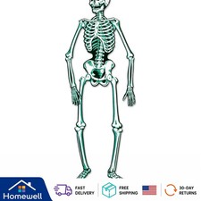 Durable Double-Sided Skeleton Decoration - Perfect for Parties Photo Booths