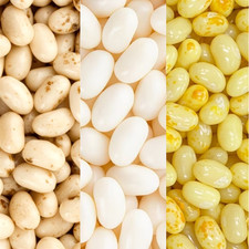 Jelly Belly Mix 1.5 / 3LB   Buttered Popcorn,...