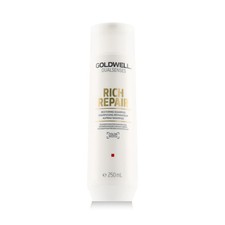 Goldwell Dualsenses Rich Repair Restoring Shampoo 250 ml
