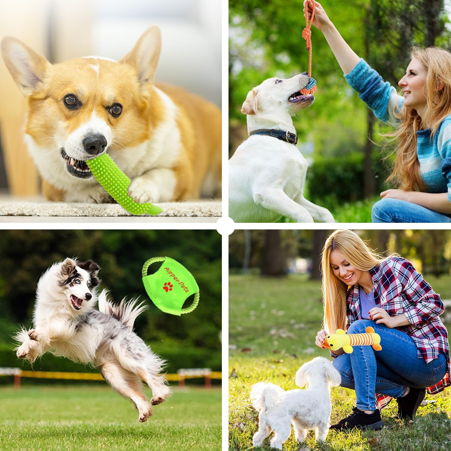 Dog Toys 25 Pack for Fun and Teeth Cleaning, Puppy Chew Toys Pack with Squeak Pl