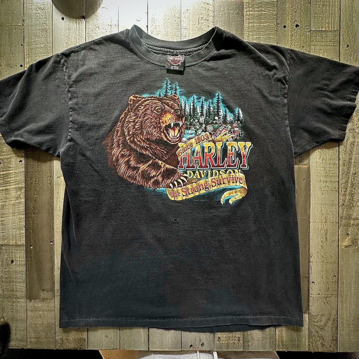 True Vintage Harley Davidson Shirt Xl Strong Survive Bear Single