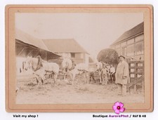 MONDE RURAL, PAYSANS, CHEVAUX, CHARRETTE À FOIN, FERME, CDV CABINET -B48