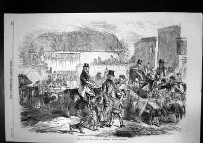 Original alter antiker Druck Exmoor Pony Fair Bampton Devon Pferde Ponys 1860