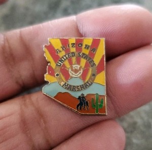 U.S. Marshal Arizona Territory Law Enforcement Pin