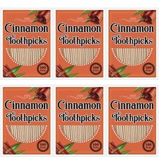 600 Pcs Toothpick Cinnamon Wood Flavored Cinnamon Toothpicks Bulk for Disposabl