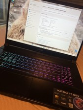 MSI Katana 17 (RTX 4060, i7) + Razer Ornata V3 + Logitech G502 X
