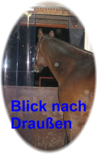 stallvorhang lamellen