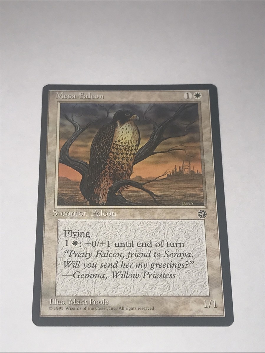 Magic the Gathering Mesa Falcon Card 1995 | eBay