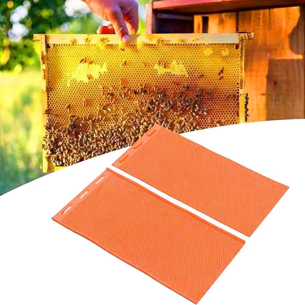 Silicone Beeswax Mold Beeswax Foundation Press Mold UK Beekeeping 2024