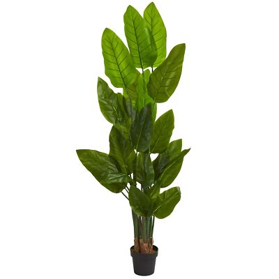 Nearly Natural 6'' Canna Tree Artificial Plant Green 8''D x12''W x6 Ft
