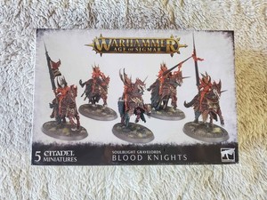 Soulblight Gravelords Blood Knight Banner Bearer. : r/SoulblightGravelords