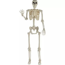 60-inch Posable Skeleton