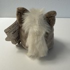 Bild 2 von 7