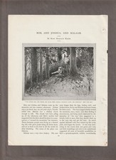 1896 MARY MURDOCH MASON Magazi. STORY Pages~Bob Joshua Ballam~SAILBOAT-BIKE POEM