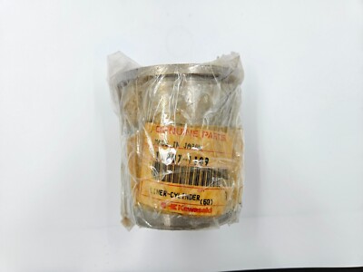 11007-1109] KAWASAKI LINER-CYLINDER for ZX600 | eBay