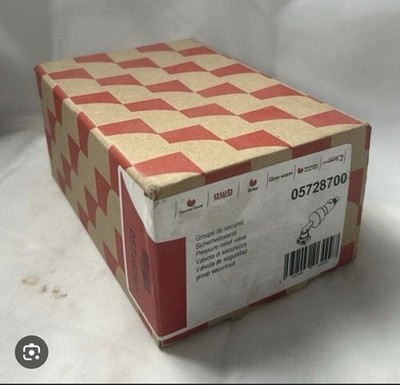 Saunier Duval Sicherheitsventil 05728700 Glühschnecke PRV