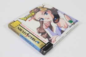 El-Hazard Limited Edition W/ Spine Reg Sleeve CIB SEGA Saturn SS Japan US Seller